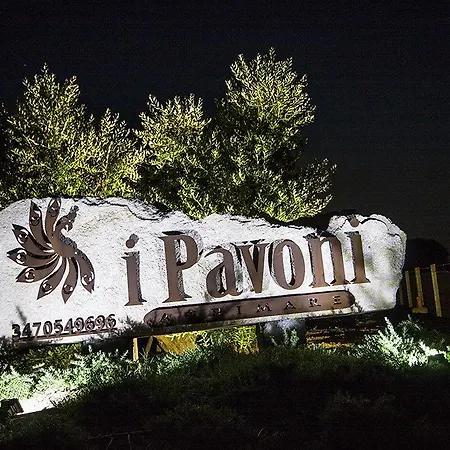 公寓 Agrimare I Pavoni 蒙塔尔托迪卡斯特罗